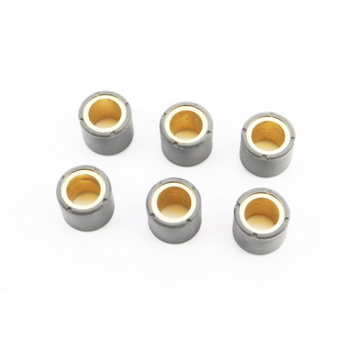 Ролики варіатора 6шт, 25*22,2 - 28г, Тайвань